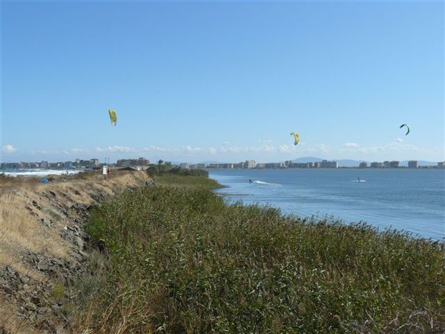 _P1050037.JPG