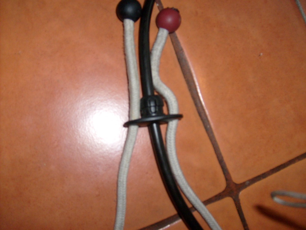 S6305263.JPG