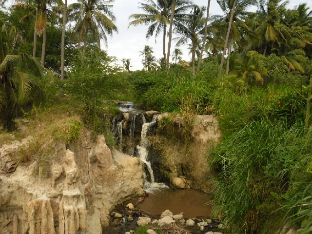 SAM_0986.jpg