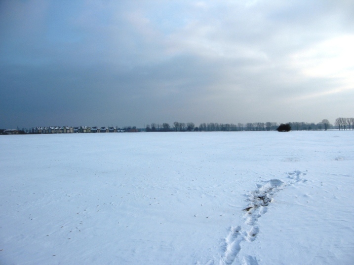 IMG_9692.JPG