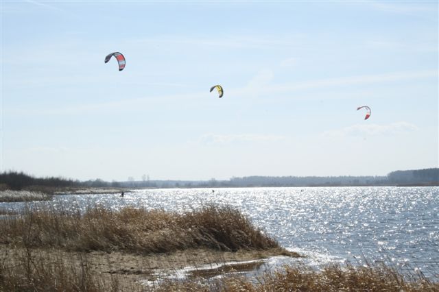 IMG_0021.jpg