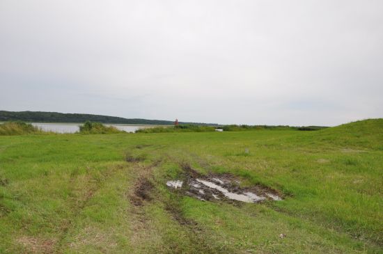 DSC_1811.jpg