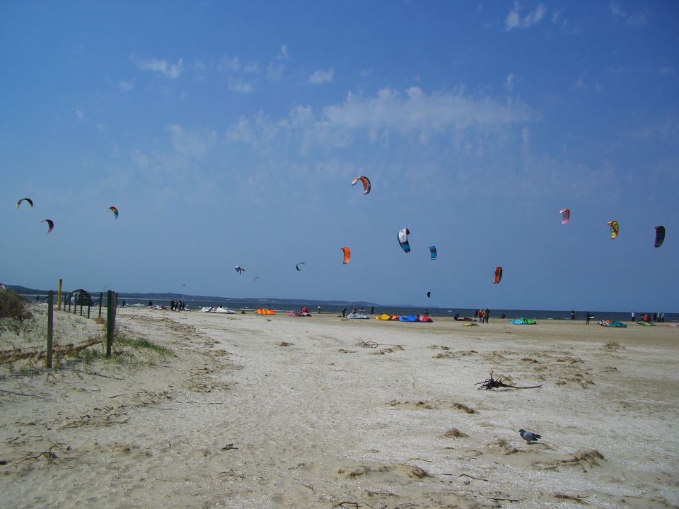 kite scie.jpg