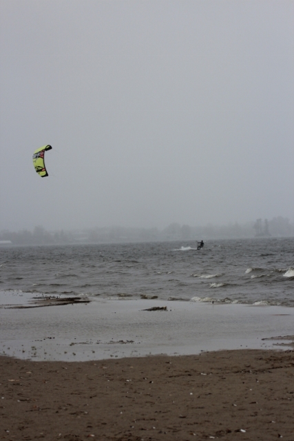 IMG_1103 (427x640).jpg