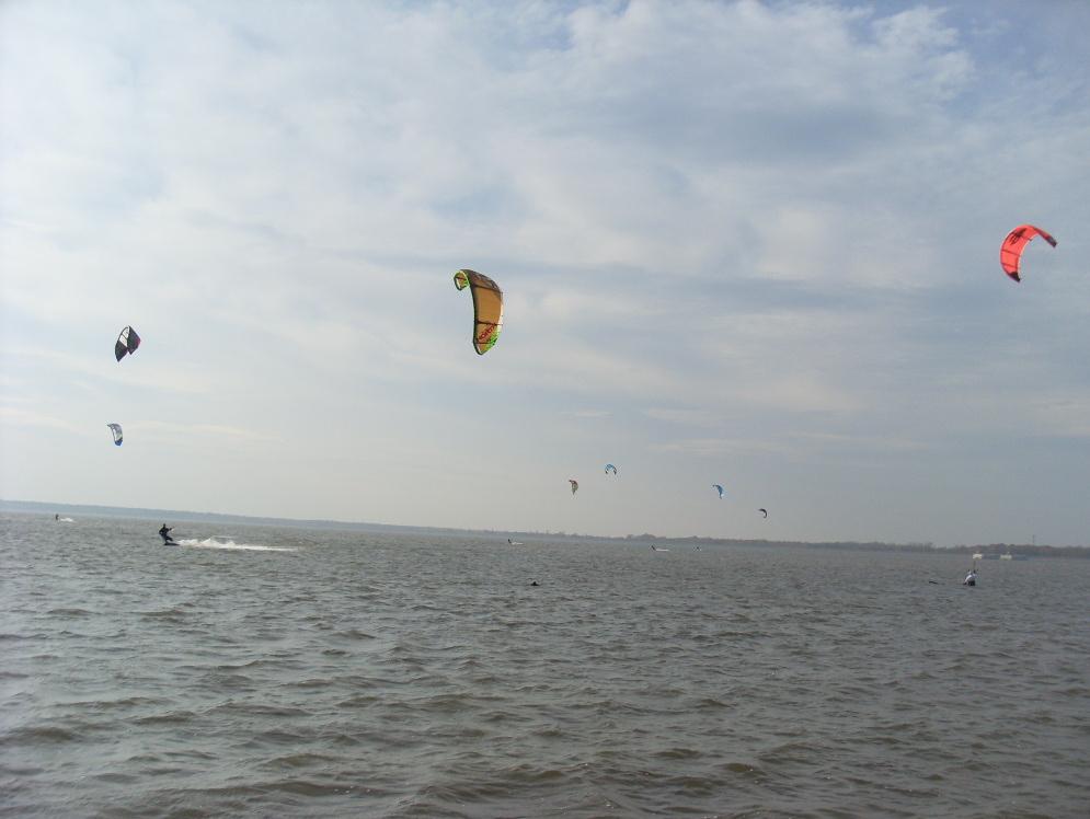 SL382946.JPG