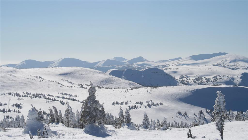 Winter-snow-nature-305 (Large).jpg