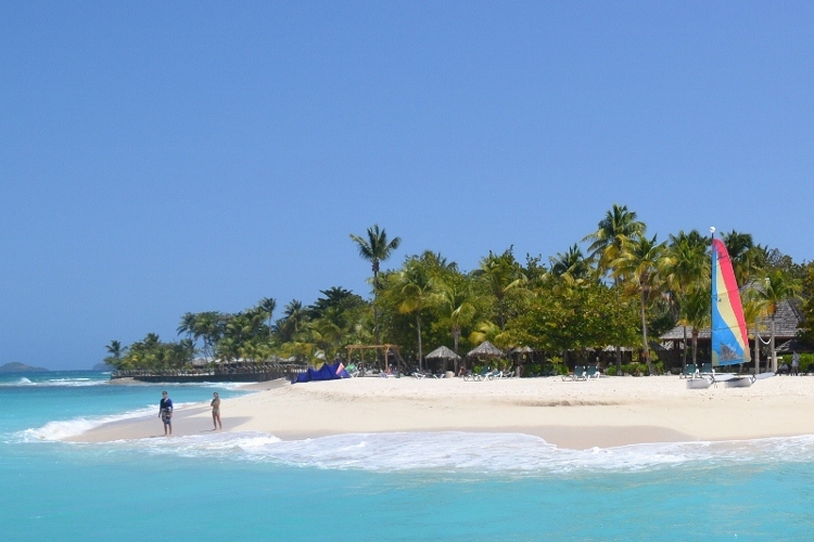 Palm Island.jpg