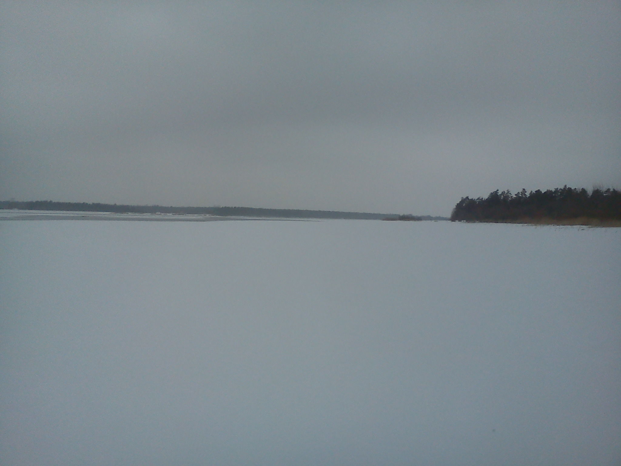 DSC00056.jpg