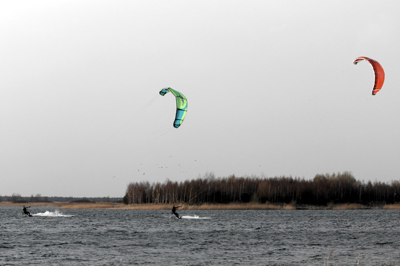 IMG_5539.jpg