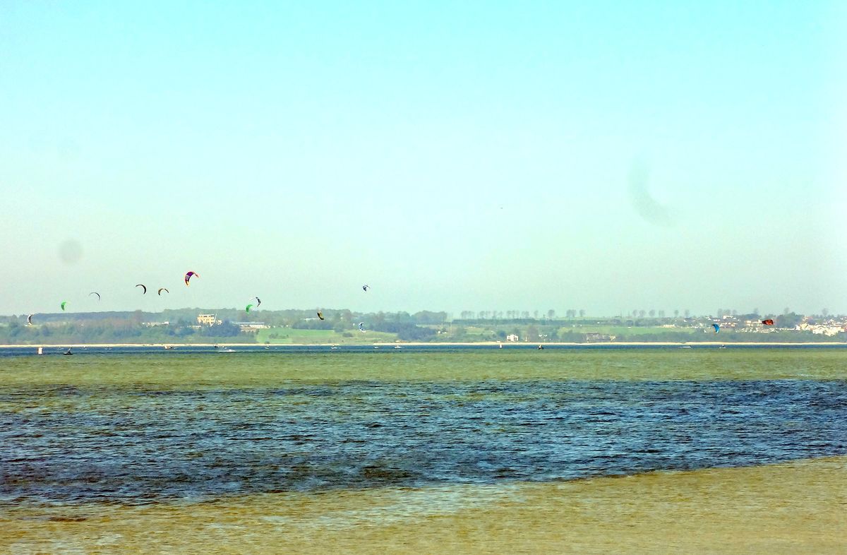 DSC02468_.jpg