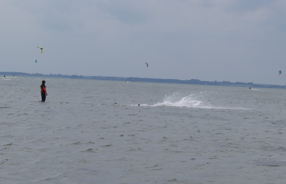 DSC08181.JPG