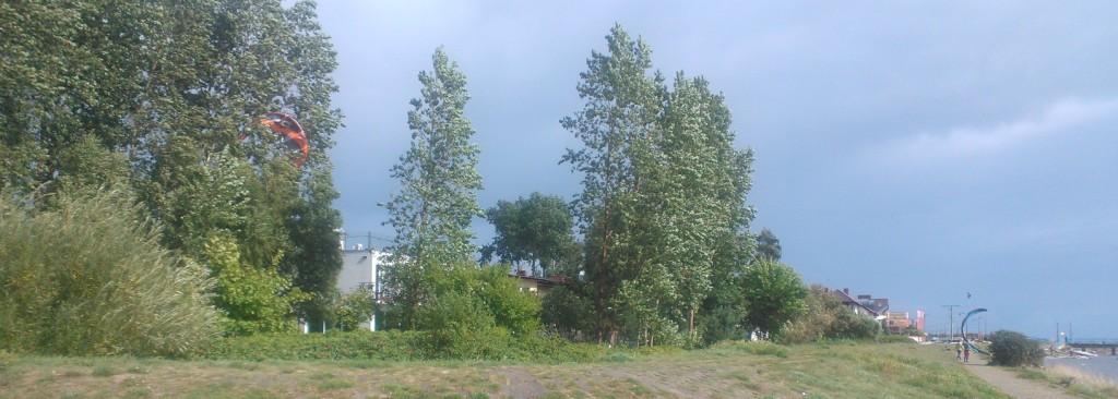 WP_001971.jpg