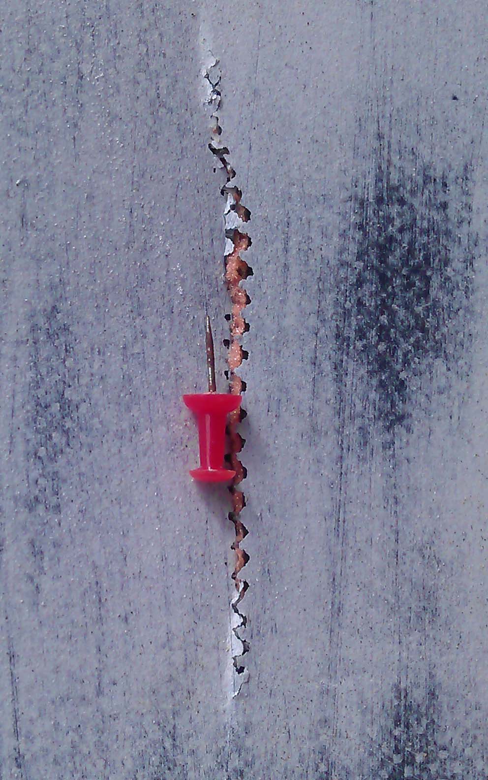 IMAG0039.jpg