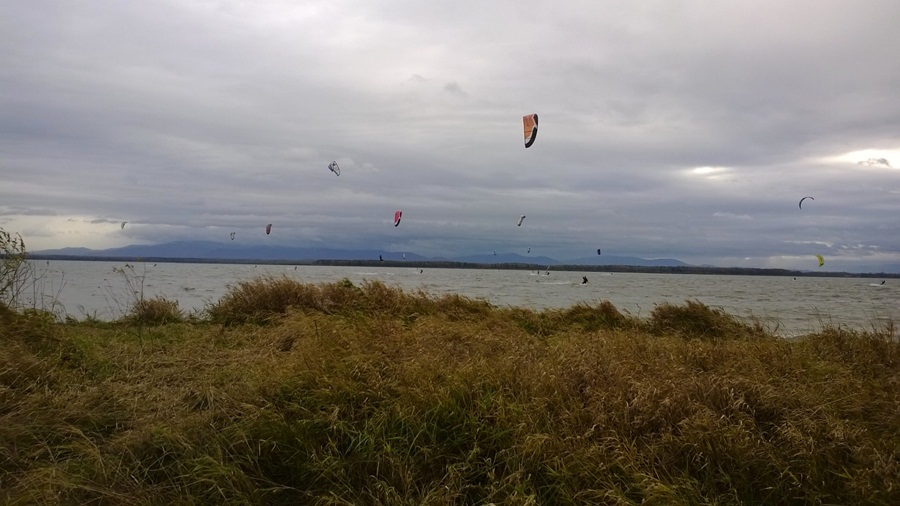 wp_20131107_010.jpg
