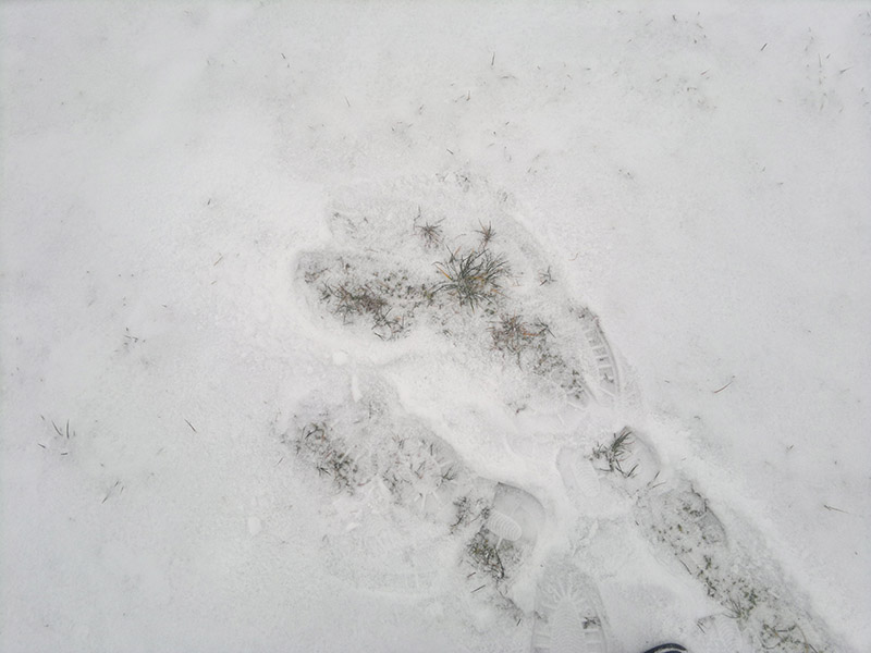 2014-01-29-793.jpg