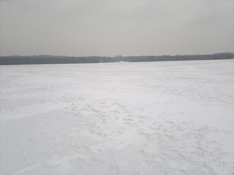 2014-01-29-792.jpg