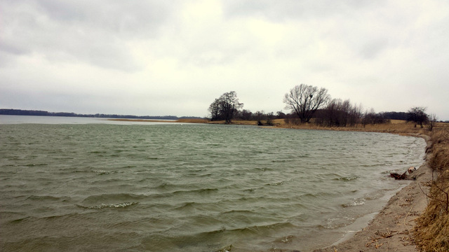 20140315_100043.jpg