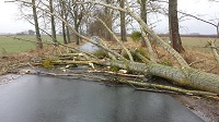 20140315_130045.jpg