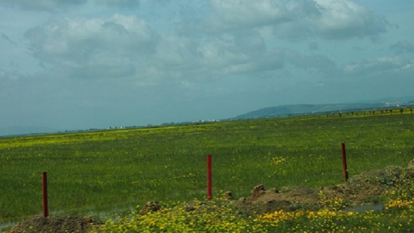 P1013112.JPG