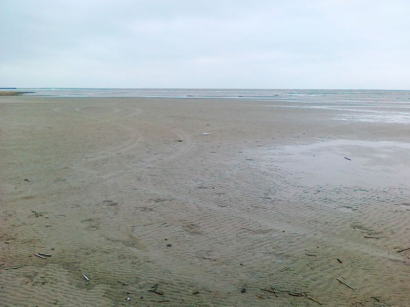 20110324259.jpg