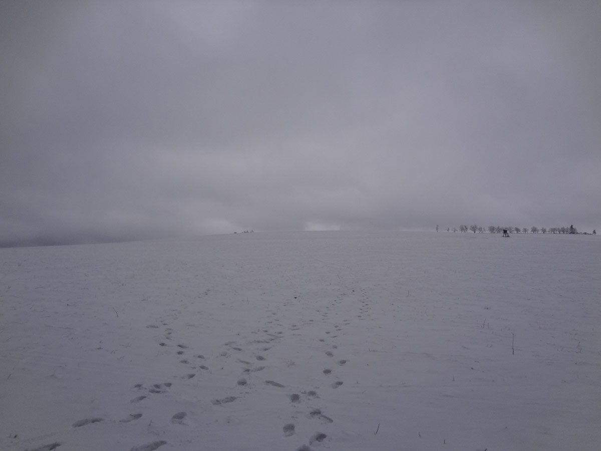 DSC00822.jpg