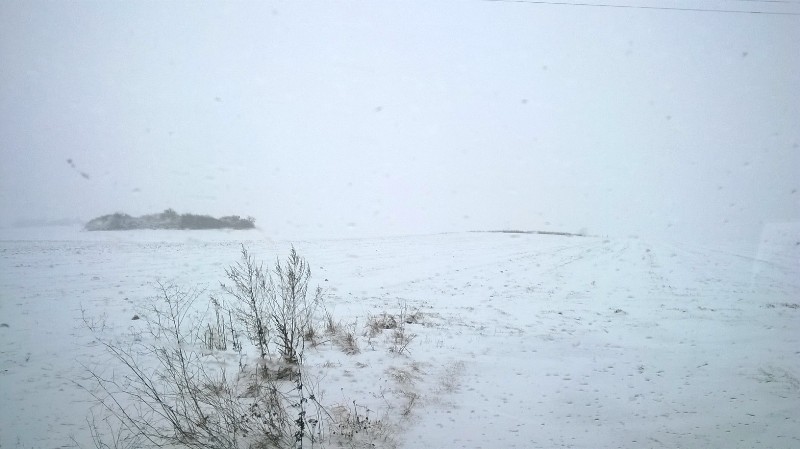 WP_20150125_001.jpg