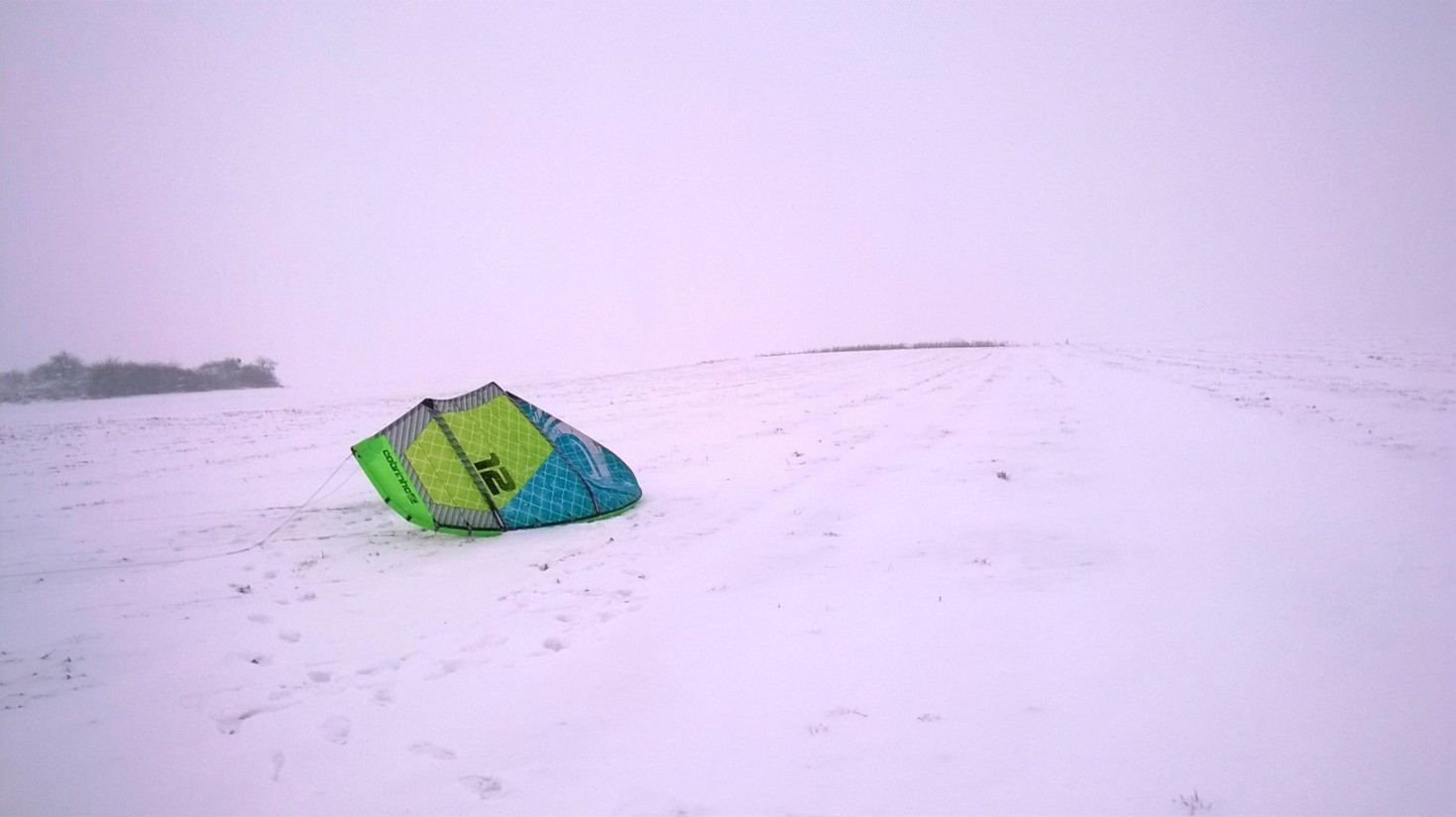 WP_20150125_002.jpg