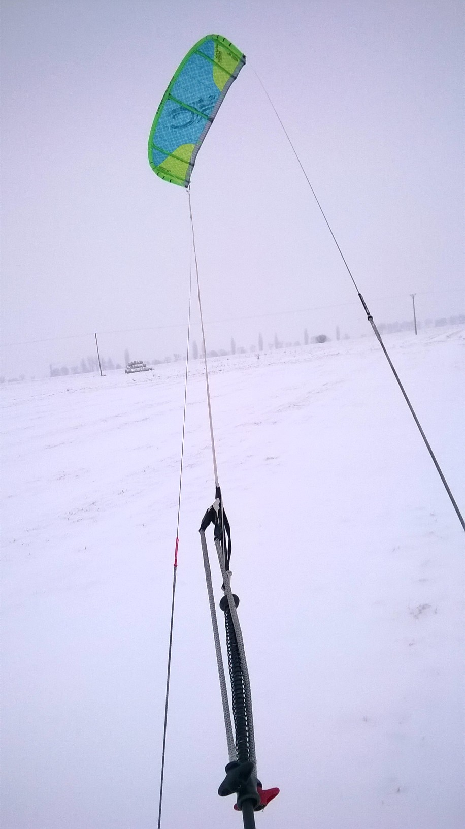 WP_20150125_003.jpg