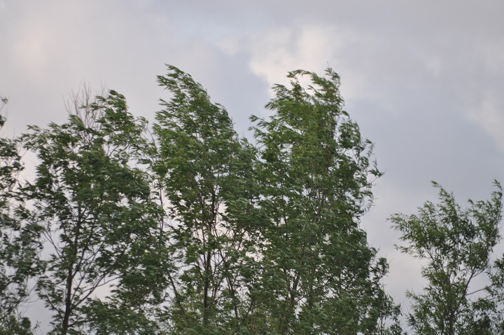 DSC_0491.jpg