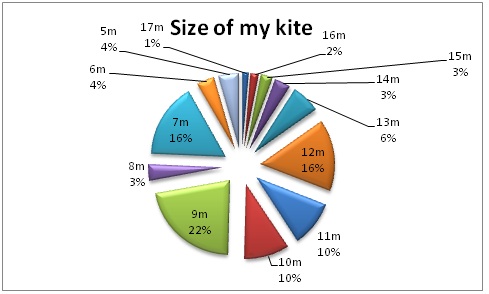 3 - size of my kite.jpg