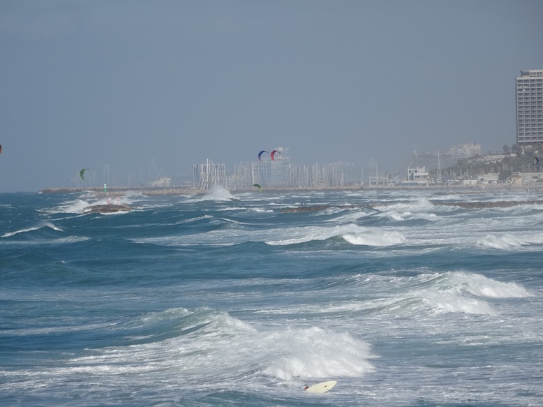 TLV styczen.jpg